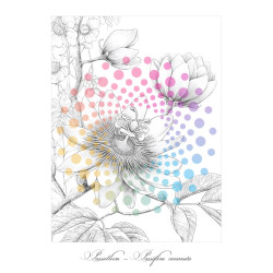 Bloemen in Bloei | Kleurboek voor Volwassenen