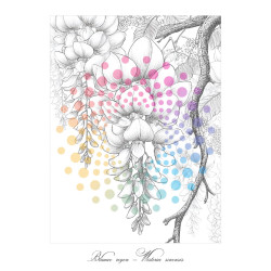 2 Kleurboeken vol Natuurpracht | Botanische Voordeelset