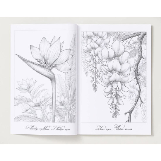 Kleurboek voor volwassenen met herkenbare bloemsoorten uit de collectie van Kleurlab®