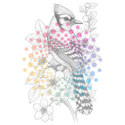 Bloemen & Vogels | Kleurboek voor Volwassenen