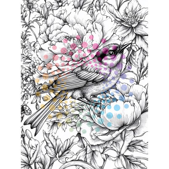 2 Kleurboeken vol Bloemenpracht | Bloemen Voordeelset 2 Kleurboeken vol Bloemenpracht | Bloemen Voordeelset