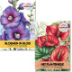 Twee botanische kleurboeken – natuurpracht voor volwassenen Botanische voordeelset met twee kleurboeken voor Volwassenen vol planten en bloemen