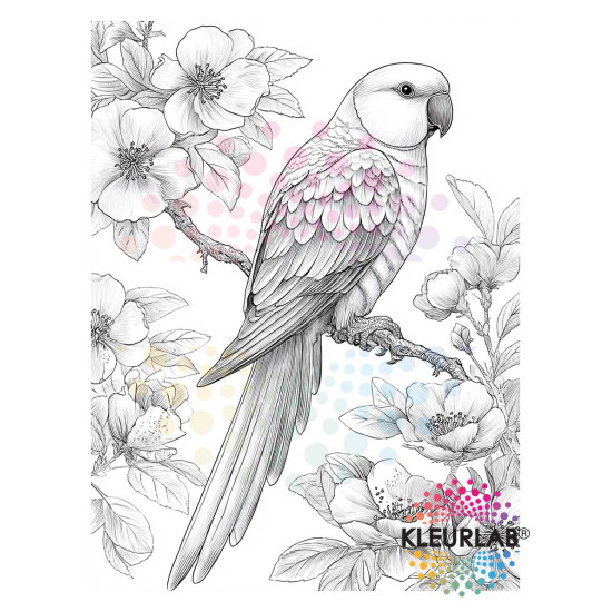 2 Kleurboeken vol Bloemenpracht | Bloemen Voordeelset