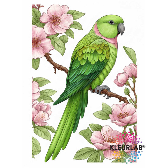 2 Kleurboeken vol Bloemenpracht | Bloemen Voordeelset