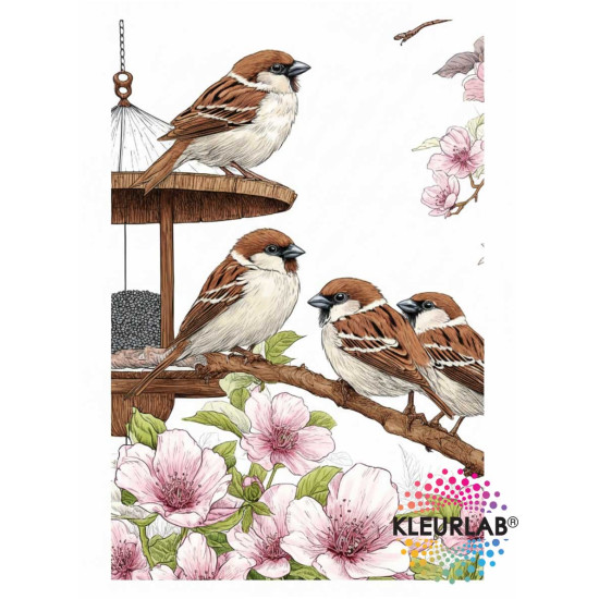 2 Kleurboeken vol Bloemenpracht | Bloemen Voordeelset