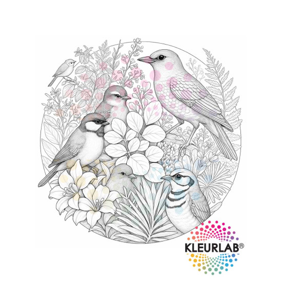 2 Kleurboeken vol Bloemenpracht | Bloemen Voordeelset
