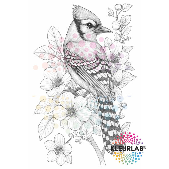 2 Kleurboeken vol Bloemenpracht | Bloemen Voordeelset