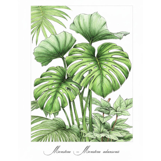 Kleurboek voor volwassenen met herkenbare inheemse en uitheemse planten uit de collectie van Kleurlab®