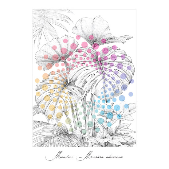 Bekijk het kleurboek Het Plantenrijk van dichtbij Kleurboek voor volwassenen met herkenbare inheemse en uitheemse planten uit de collectie van Kleurlab®