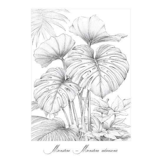 Bekijk de Bloemen Voordeelset met Bloemen Wereld en Bloemen & Vogels Voordeelset met twee bloemrijke kleurboeken voor Volwassenen uit de collectie van Kleurlab®