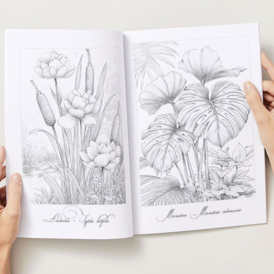 Bekijk het kleurboek Het Plantenrijk van dichtbij Kleurboek voor volwassenen met herkenbare inheemse en uitheemse planten uit de collectie van Kleurlab®