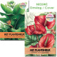 Bekijk het kleurboek Het Plantenrijk van dichtbij Kleurboek voor volwassenen met herkenbare inheemse en uitheemse planten uit de collectie van Kleurlab®
