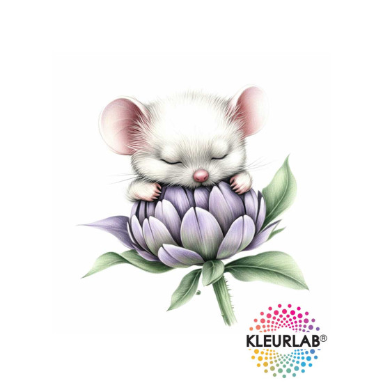 Voordeelset met kleurboeken over kabouters en dromerige dieren uit de collectie van Kleurlab®