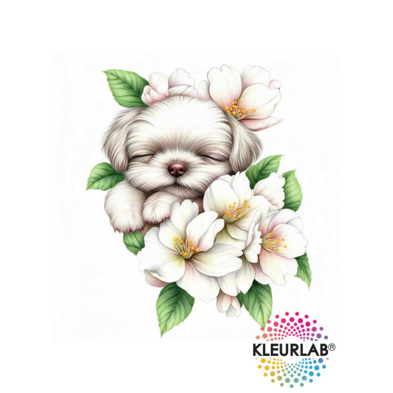 Voordeelset met kleurboeken Chibi Meisjes en Kleine Dromers uit de collectie van Kleurlab®