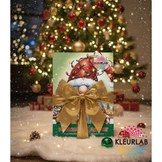 Limited edition kerstkleurboek – kabouterpret in winterse stijl Puntmutsen Kerst Pret kleurboek – feestelijke kabouters voor Volwassenen